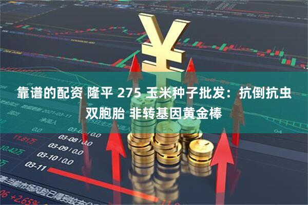 靠谱的配资 隆平 275 玉米种子批发：抗倒抗虫双胞胎 非转基因黄金棒