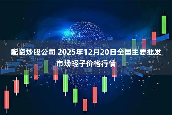 配资炒股公司 2025年12月20日全国主要批发市场蛏子价格行情